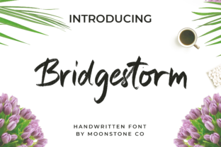 Bridgestorm Font: Editorial Warmth for Modern Layouts