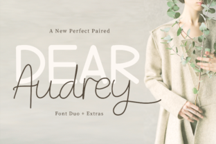 Dear Audrey Font: A Campaign Design Review