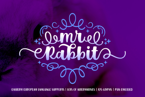 Mr. Rabbit Font: Elevating Small Business Branding
