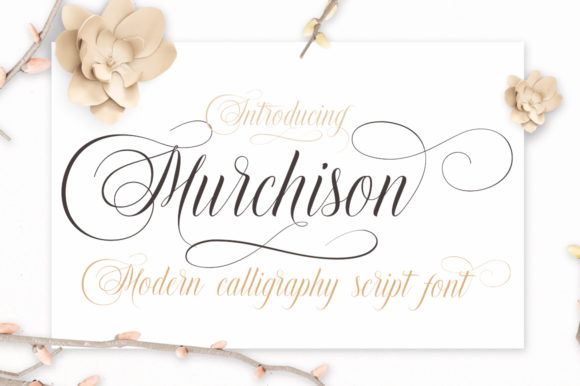 Murchison Font: A Modern Script for Bold Campaigns