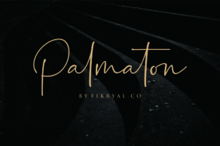 Palmaton: A Designer’s Review for Real Projects