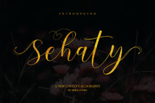 Sehaty Font Review: Elegant Script for Campaign Visuals